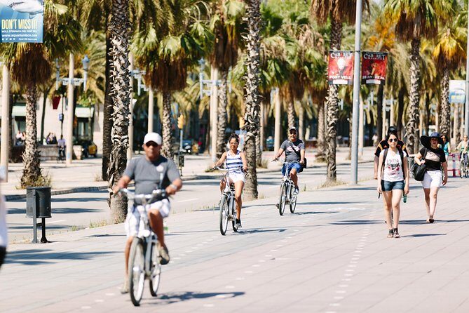 Barcelona Electric Bike Tour: Scenic Montjuic Panoramic Views - Who Should Consider This Tour?