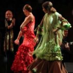 Barcelona: Flamenco at El Patio Andaluz with Optional Dinner - A Deep Dive into the Flamenco Experience