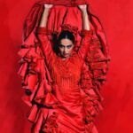 Barcelona: Flamenco Dance Class for Beginners at the Flamenco Theater - Detailed Review of the Flamenco Dance Class Experience