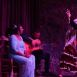 Barcelona: Flamenco Show at Palau Dalmases - An In-Depth Look at the Flamenco Show at Palau Dalmases
