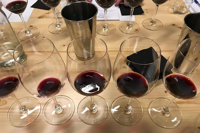 Barcelona Fun Wine Tasting with a Sommelier - Value and Who Should Book