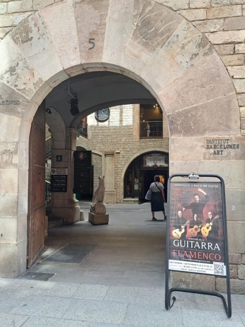 Barcelona: Guitar Trio & Flamenco Dance @Pignatelli Castle - Detailed Review of the Experience