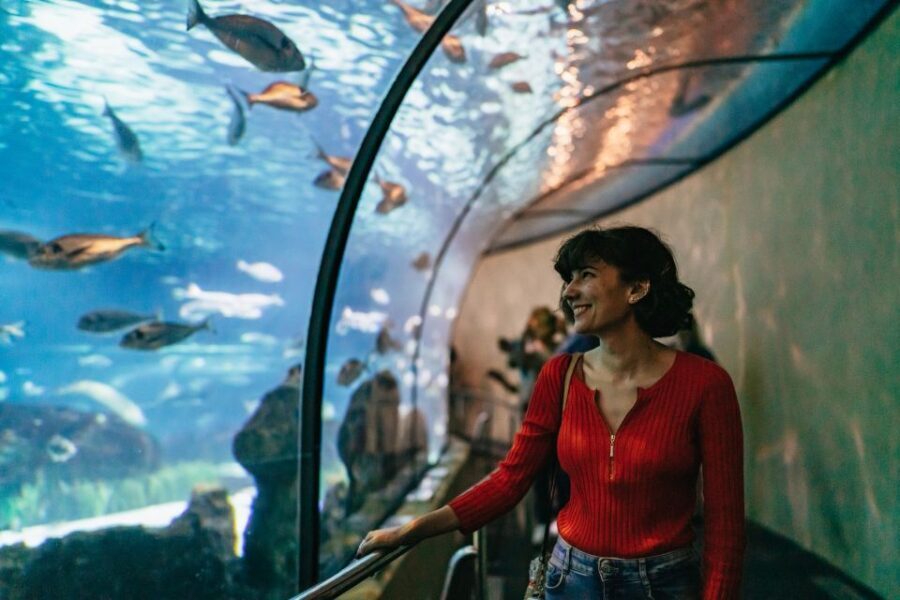 Barcelona: Hop-On Hop-Off Bus & Aquarium Tour - A Deep Dive into the Tour Experience