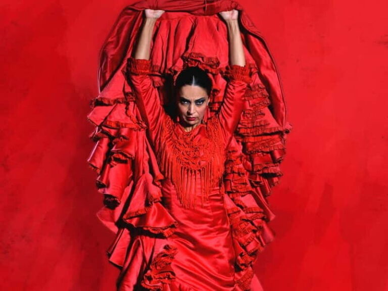 Barcelona: "Inspiration" Live Flamenco Show - Who Will Love This Flamenco Show?