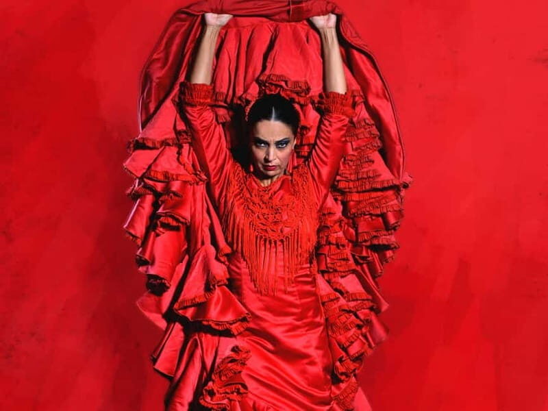 Barcelona: "Inspiration" Live Flamenco Show - Who Will Love This Flamenco Show?