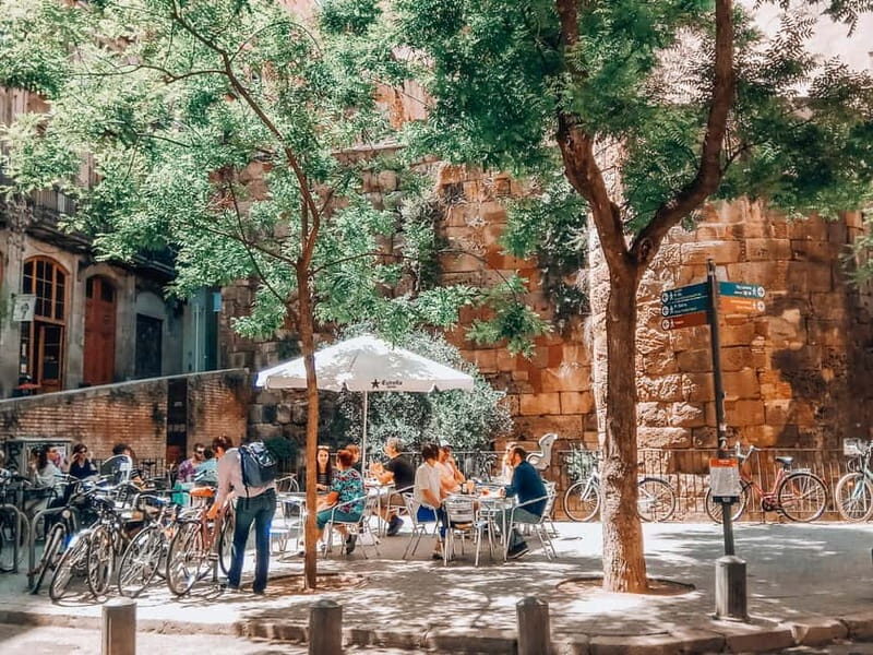 Barcelona: Introduction to the Gothic Quarter Walking Tour - Price and Value