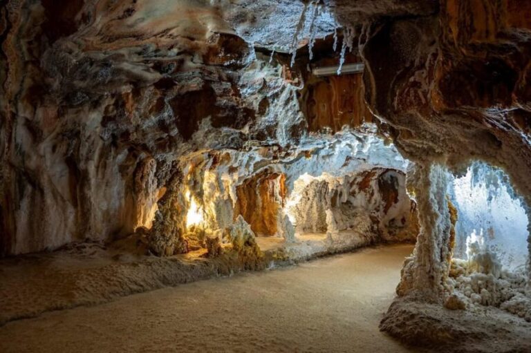Barcelona: Monserrat, Castle and Salt Private Tour - Who Is This Tour Best For?