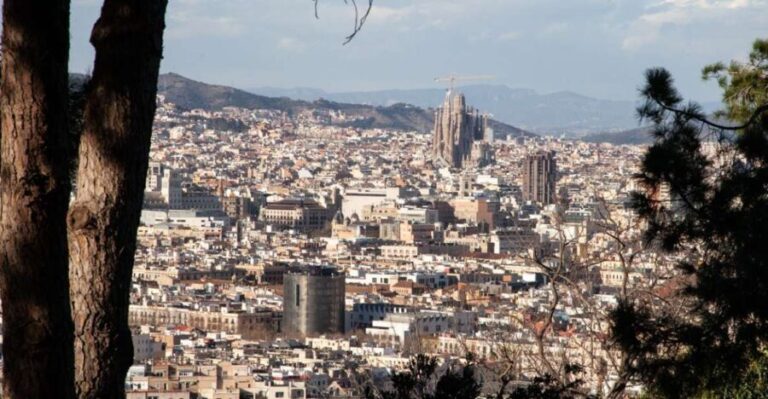 Barcelona: Montjuïc Walking Tour With Optional Flamenco Show - The Optional Flamenco Show: An Evening of Passion