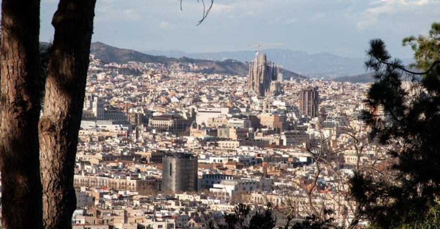 Barcelona: Montjuïc Walking Tour With Optional Flamenco Show - The Optional Flamenco Show: An Evening of Passion