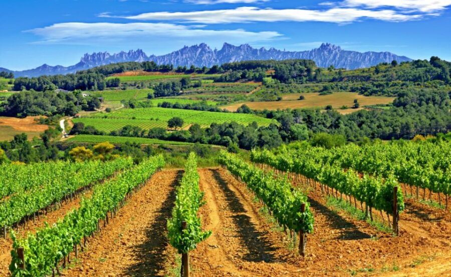 Barcelona: Montserrtat Hike and Winery Tour with Tasting - Discovering Montserrat: More Than Just a Mountain
