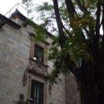 Barcelona: Mystical Walking Tour in the Gothic Quarter - Who Will Love This Tour?
