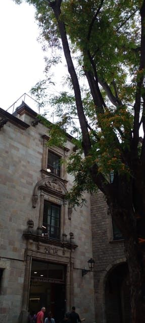 Barcelona: Mystical Walking Tour in the Gothic Quarter - Who Will Love This Tour?