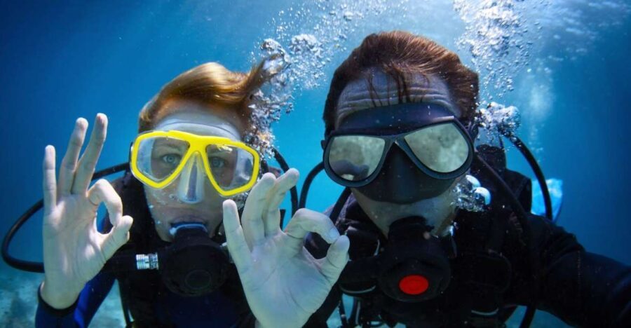 Barcelona: PADI Discover Scuba Diving - Discovering the Underwater World in Barcelona: What You Can Expect