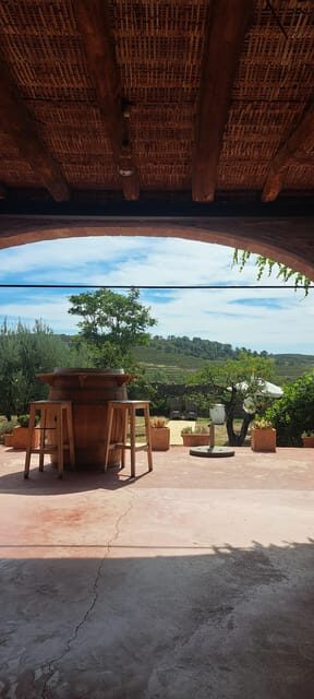 Barcelona: Penedès Vineyard Horseback Ride with Wine Tasting - Deep Dive: Why This Tour Provides Real Value