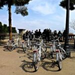 Barcelona: Personalized Private E-Bike Tour - Who Will Benefit Most?