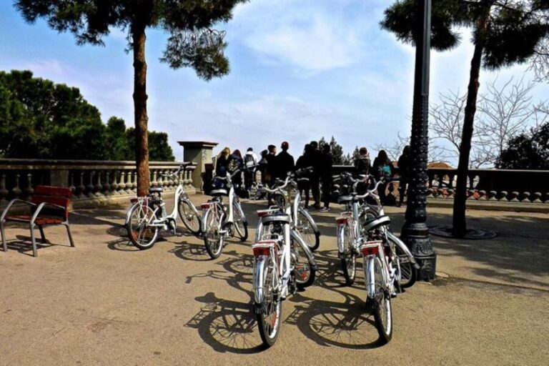 Barcelona: Personalized Private E-Bike Tour - Who Will Benefit Most?