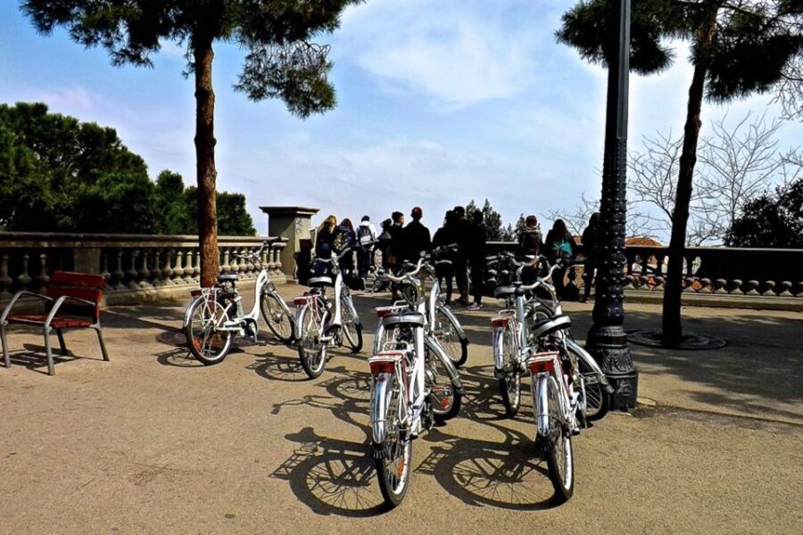 Barcelona: Personalized Private E-Bike Tour - Who Will Benefit Most?