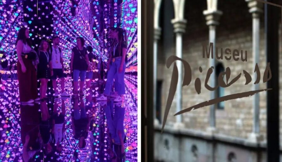 Barcelona: Picasso Museum Tour with Moco Museum Ticket - Who Will Love This Tour?