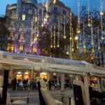 Barcelona: Private Christmas Lights Tour by Eco Tuk Tuk - Exploring Barcelona’s Festive Light Scene: What You Can Expect