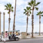 Barcelona: Private City Tour by Eco Tuk Tuk - Who Is This Tour Best For?