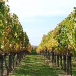 Barcelona: Private E-Bike Tour and Wine Tasting - What Makes This Tour Stand Out
