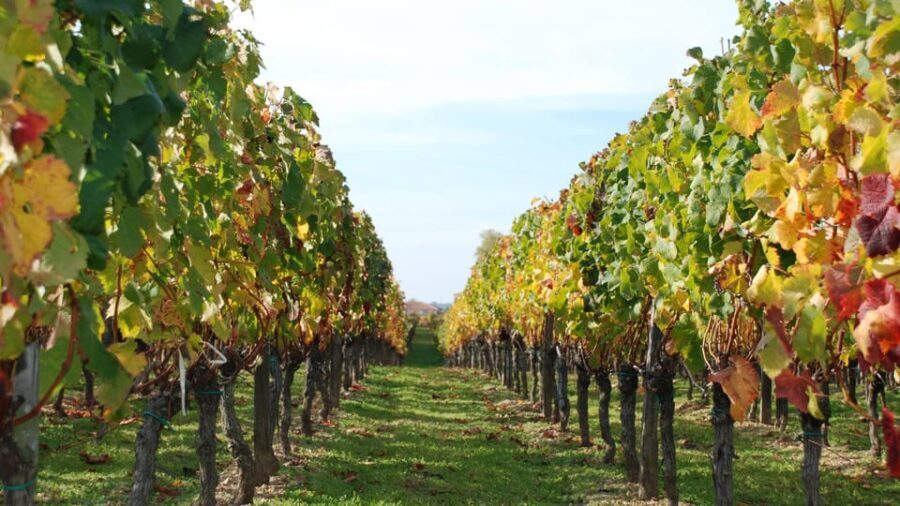 Barcelona: Private E-Bike Tour and Wine Tasting - What Makes This Tour Stand Out