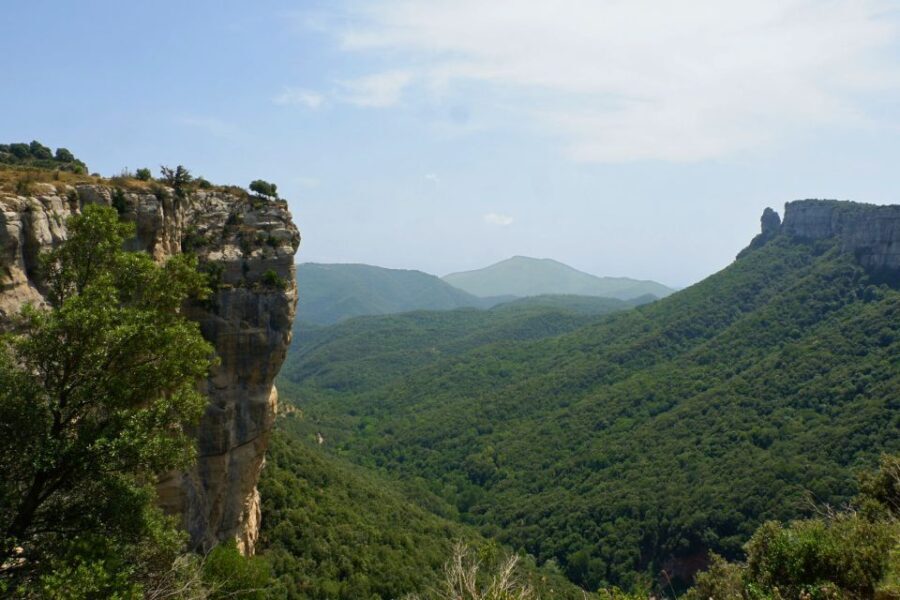 Barcelona: Pyrenees Villages and Trails Full-Day Tour - Discovering the Pyrenees Villages and Trails: A Thorough Look