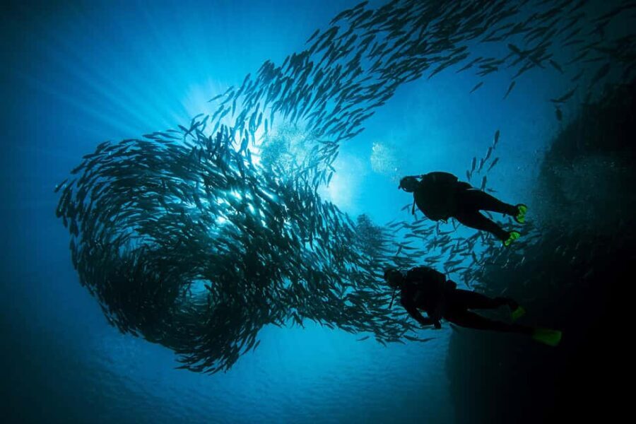 BARCELONA: SCUBA DIVING INITIATION - Dive in and experience underwater adventures - 2 hours - The Sum Up