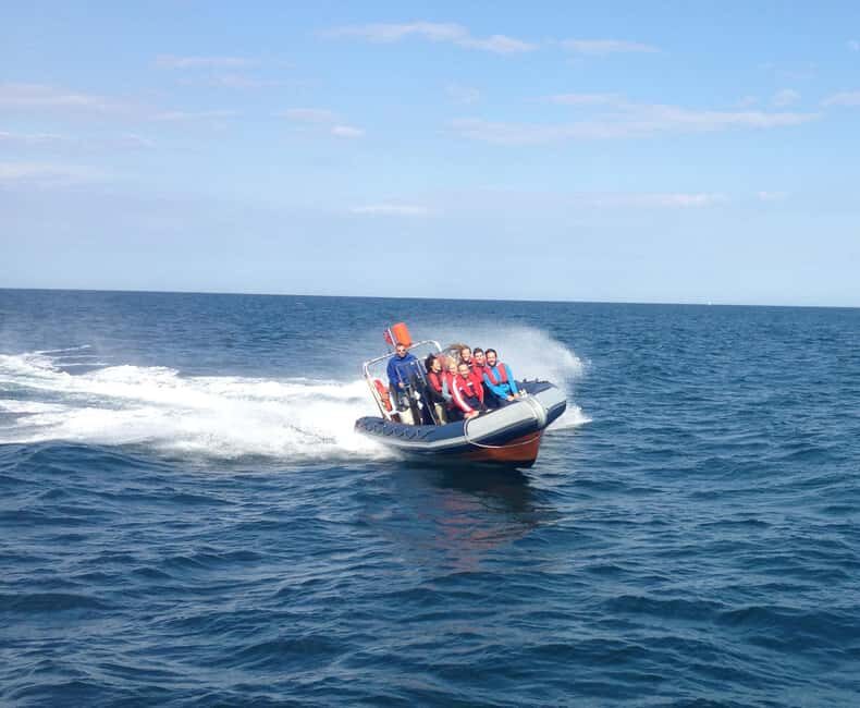 Barcelona: Speedboat Coastline Tour - Final Thoughts: Who Is This Tour Best For?