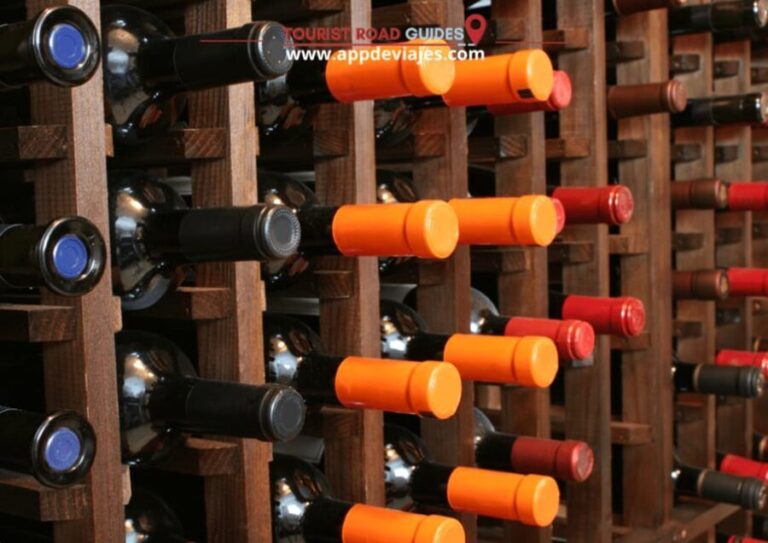 Barcelona: Tour Private Montserrat, Wines & Sitges - A Sip of Catalan Heritage: Familia Torres Winery