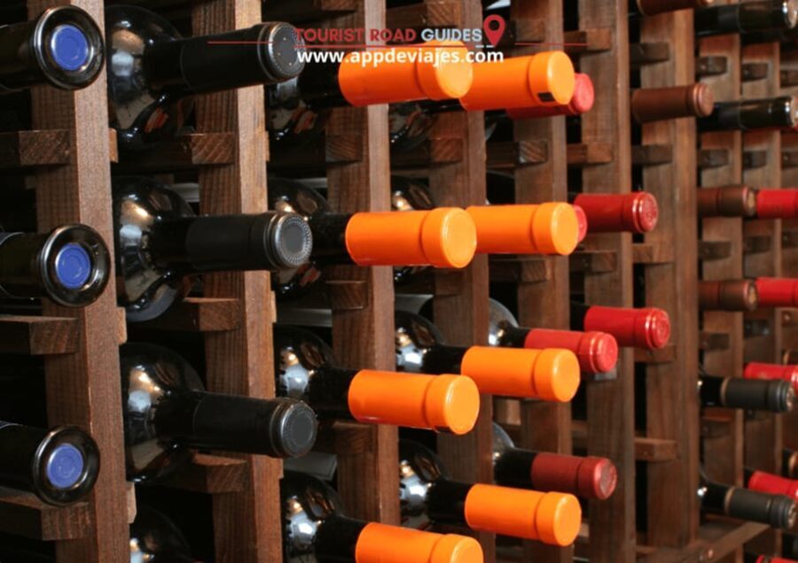 Barcelona: Tour Private Montserrat, Wines & Sitges - A Sip of Catalan Heritage: Familia Torres Winery