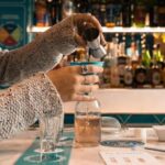 Barcelona: Vermouth Tasting and Crafting Workshop - Who Will Love This Tour?