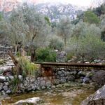 Barranc de Biniaraix Half-Day Hike - Who Should Consider This Tour?