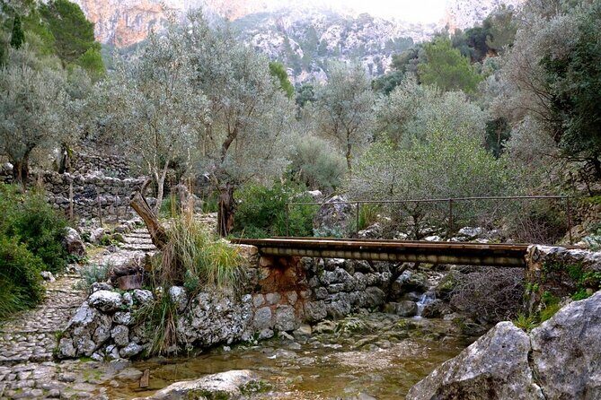 Barranc de Biniaraix Half-Day Hike - Who Should Consider This Tour?