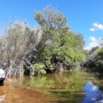 Barrocal Adventure - 4 hours - Who Will Love This Tour?