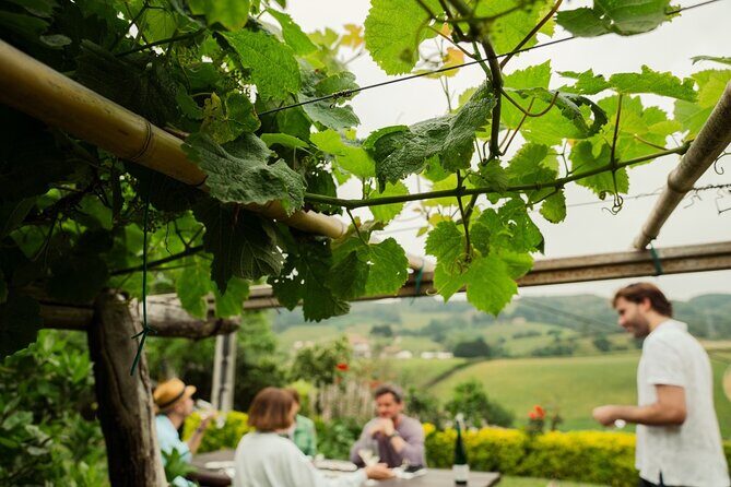 BASQUE CHEESE and TXAKOLI WINE - Private Gastronomic Adventure - A detailed look at the Basque Cheese and Txakoli Tour