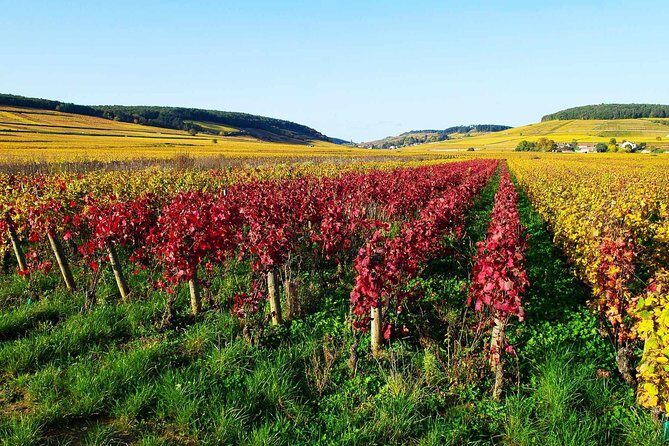 Beaujolais 100% wine tour Small-Group Tour with Tasting from Lyon - What Could Be Better?