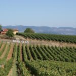 Beaujolais & Perouges Medieval Town (9:00 am to 5:15 pm - Small Group Tour Lyon - The Value of This Tour