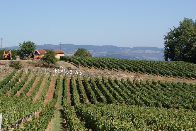 Beaujolais & Perouges Medieval Town (9:00 am to 5:15 pm - Small Group Tour Lyon - The Value of This Tour
