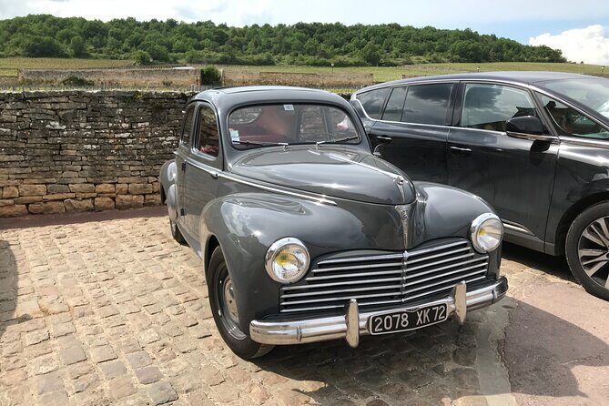 Beaujolais Region Wine Tasting Private Day Tour from Lyon - Who Will Love This Tour?