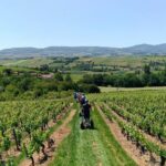 Beaujolais Segway Tour with Wine Tasting - Who Should Consider This Tour?