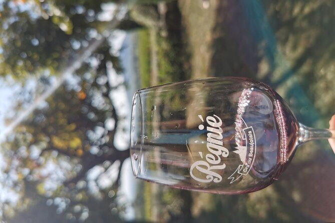 Beaujolais wine tour from Lyon half day - A Deep Dive into the Beaujolais Half-Day Tour