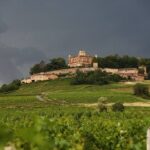 Beaujolais Wine Tour - Tastings & Gourmet Picnic Lunch - Whats Included & Practical Details