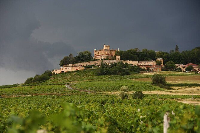 Beaujolais Wine Tour - Tastings & Gourmet Picnic Lunch - Whats Included & Practical Details
