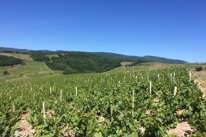 Beaujolais Wines & Castles - Private Tour - Half Day - Final Thoughts