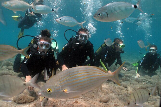 Beginner dive from Playa Chica with Instructor - Who Should Book This Tour?