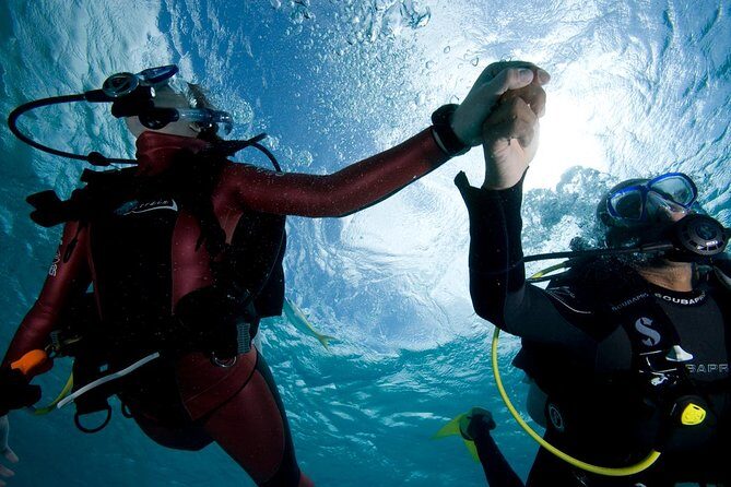 Beginners Scuba Diving Experience in Gran Canaria - What You’ll Experience Step-by-Step