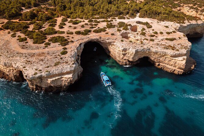 Benagil Caves and Dolphin Watching - 2.5h - Who Should Book This Tour?