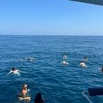 Benagil Caves & Coast from Portimão on an Eco-Friendly Catamaran - An In-Depth Look at the Algarve Sun Boat Catamaran Tour