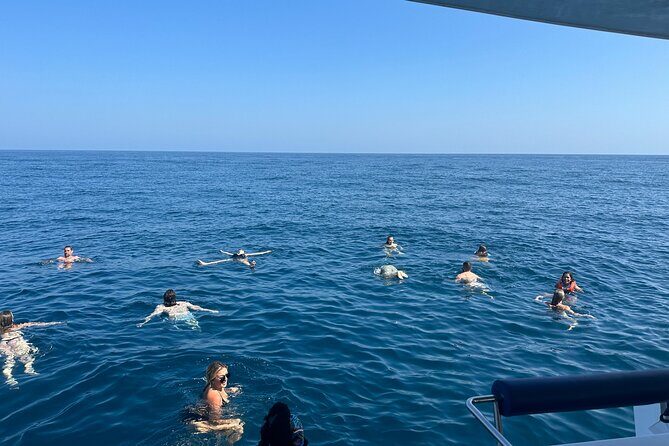 Benagil Caves & Coast from Portimão on an Eco-Friendly Catamaran - An In-Depth Look at the Algarve Sun Boat Catamaran Tour